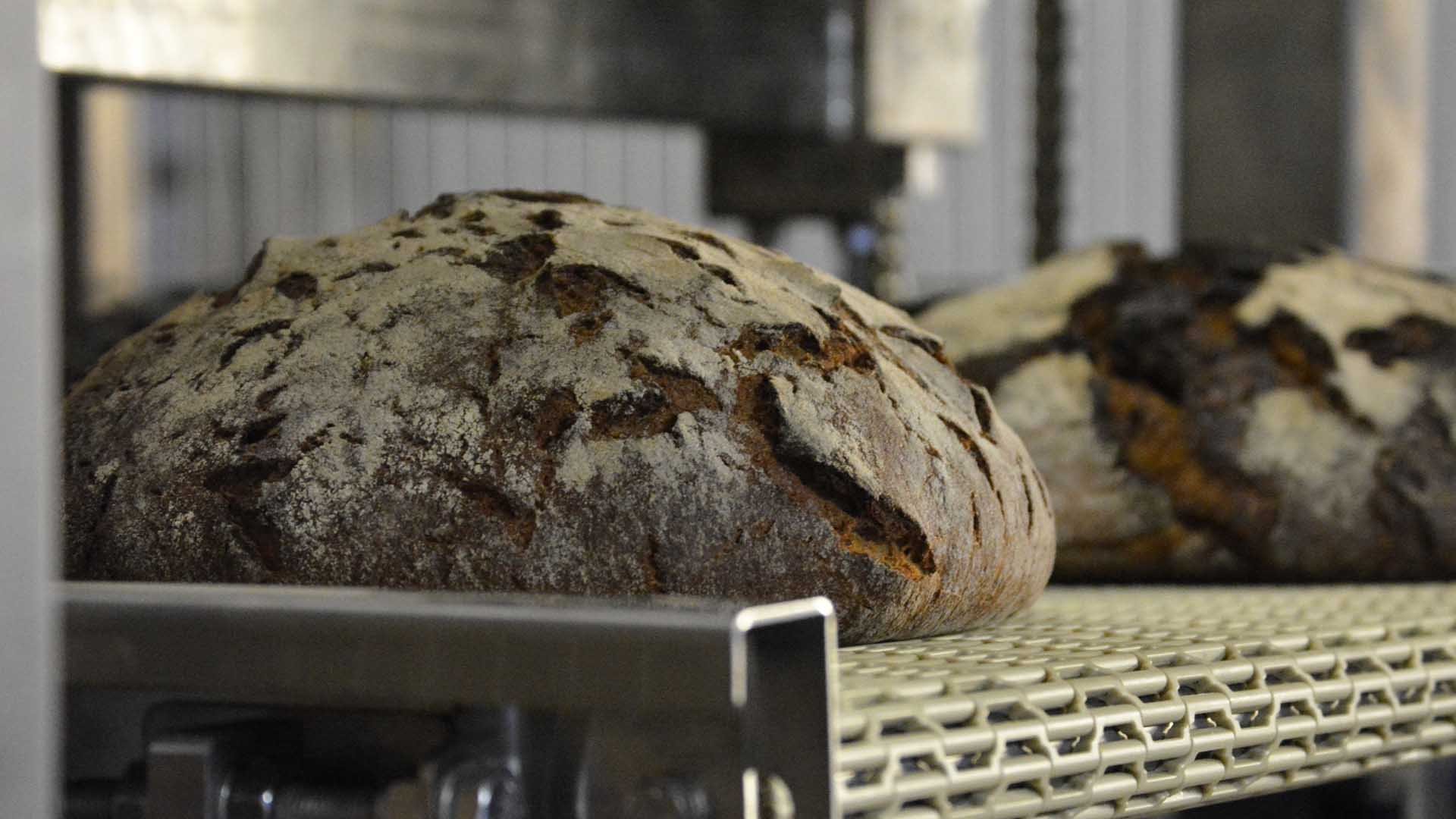 mfi-lago-detail-brot-variante
