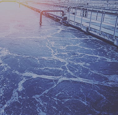 Header_environment_AdobeStock_368340921_380x369